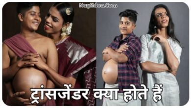 Transgender Meaning In Hindi
