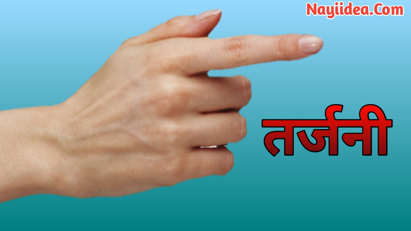 Fingers Name In Hindi and English